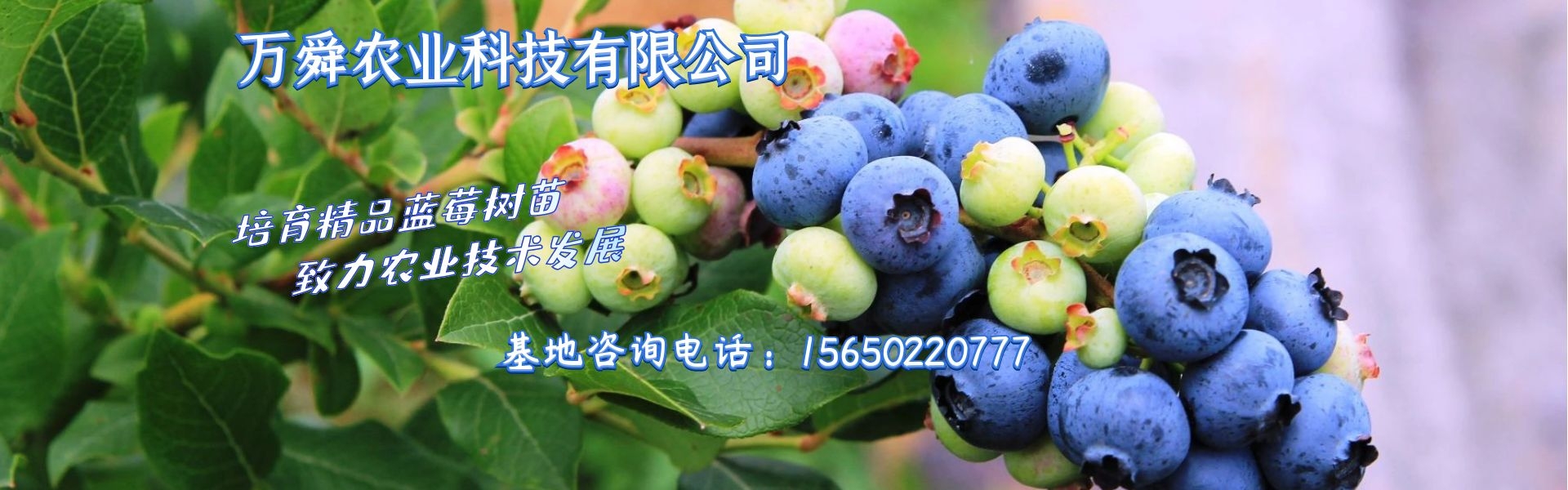 第三組廣告