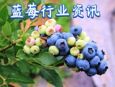 行業(yè)資訊