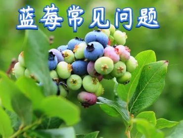 常見問題